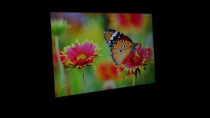 LG 24GN600-B viewing angle from 45 degrees